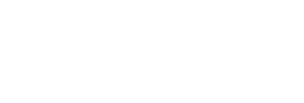 ZenithNet Zero logo, Transparent background, white letters