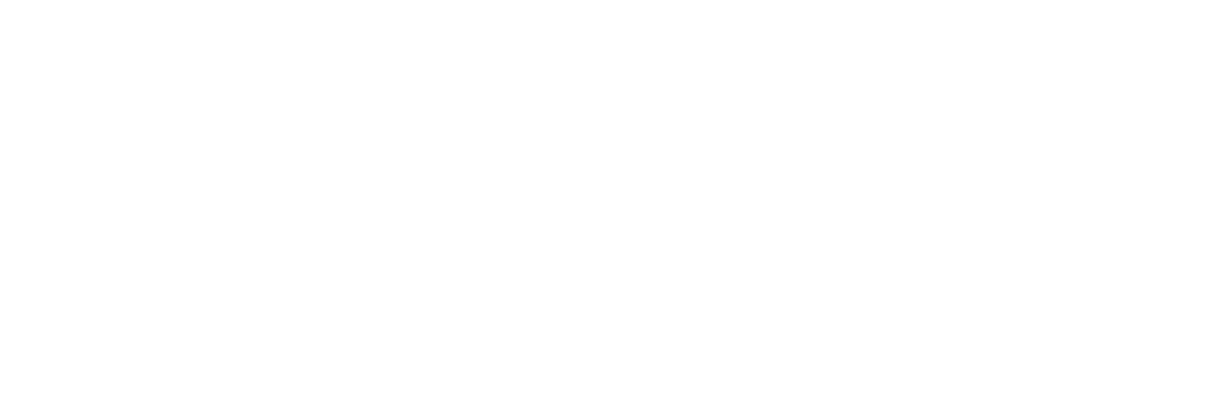 ZenithNet Zero logo, Transparent background, white letters