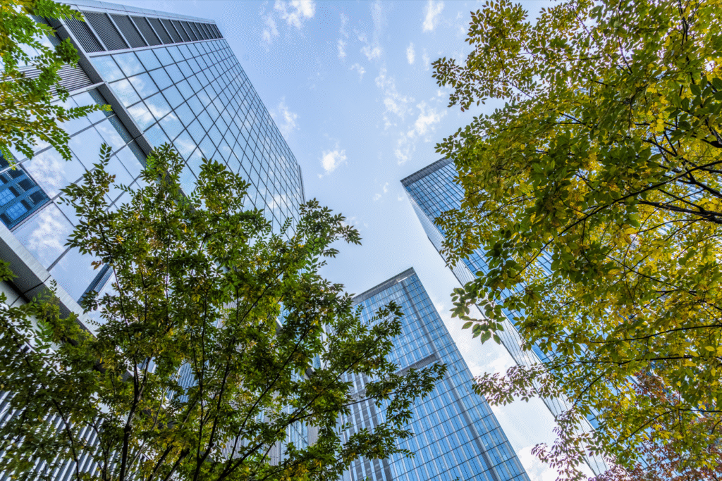 ISO 14001 Certification