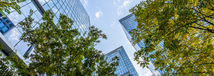 ISO 14001 Certification